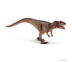 Nuori giganotosaurus