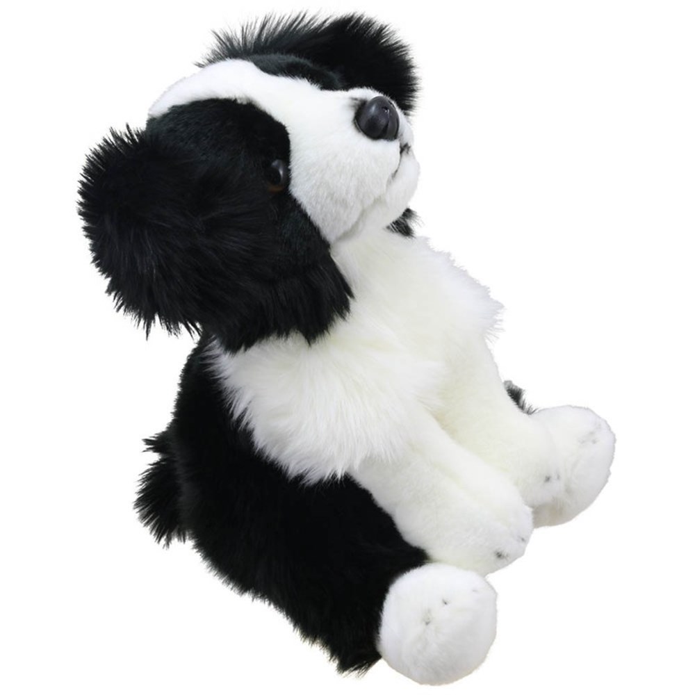 Border Collie - Wilberry