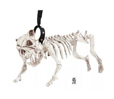 Hunde skeletzombie