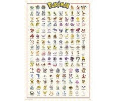 Pokemon Plakat 91,5x61 cm