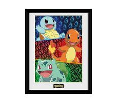Pokemon Plakat 30x40 cm