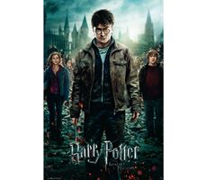 Harry Potter Plakat 91,5x61 cm